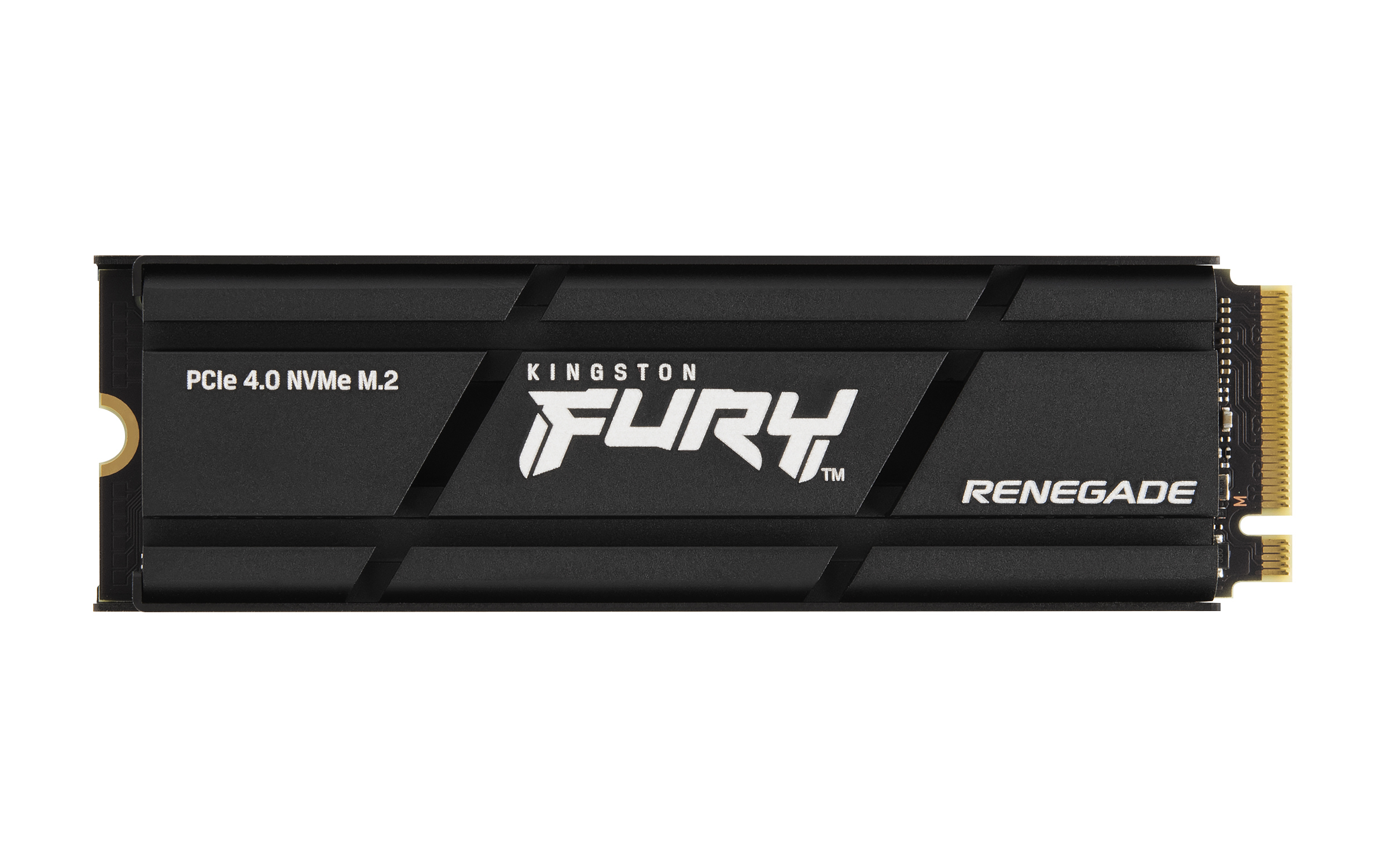 Kingston Technology 1000G RENEGADE PCIe 4.0 NVMe SSD W/ Radiateur de dissipation thermique