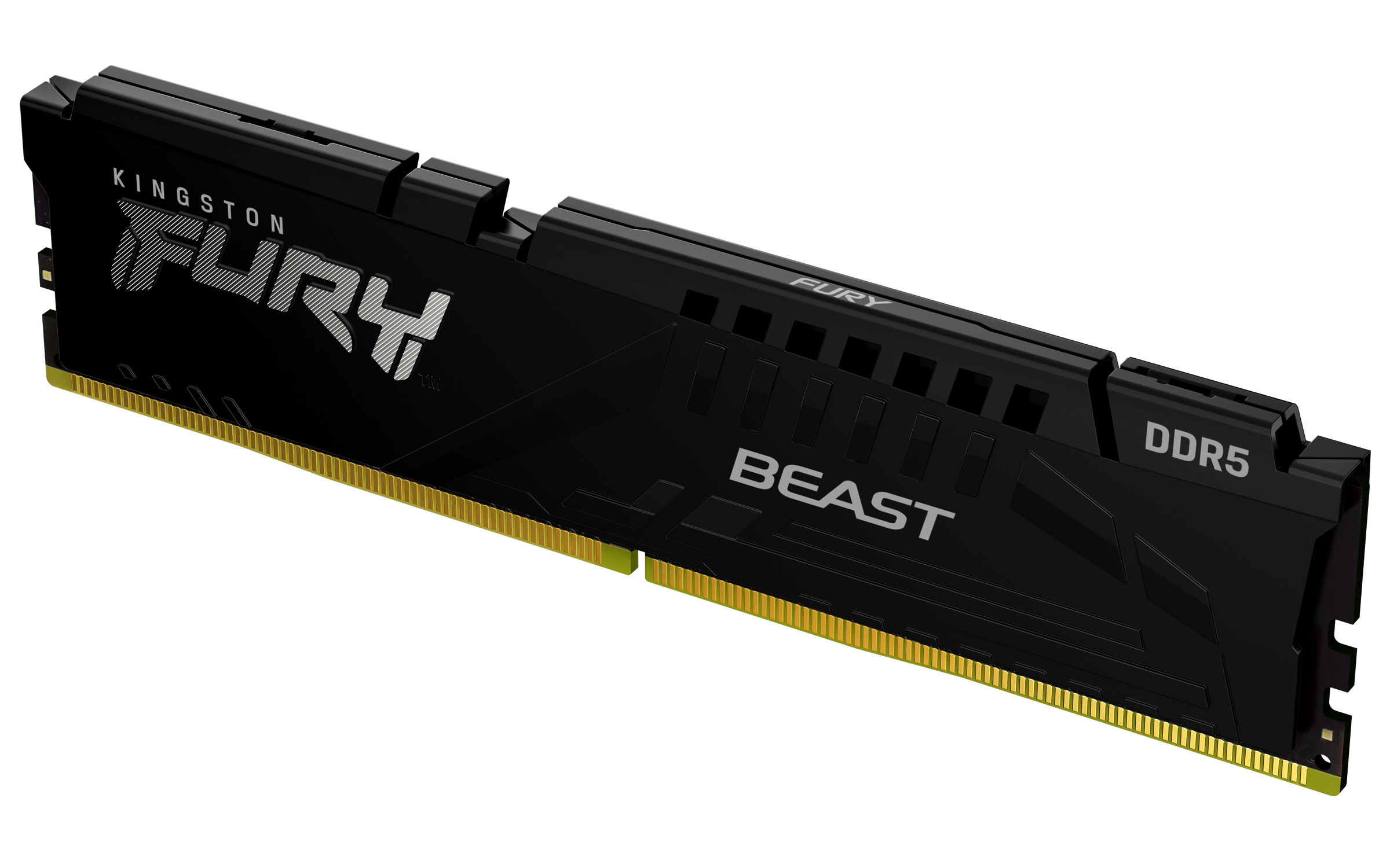 Kingston Technology FURY Beast 16 Go 5600 MT/s DDR5 CL36 DIMM Black
