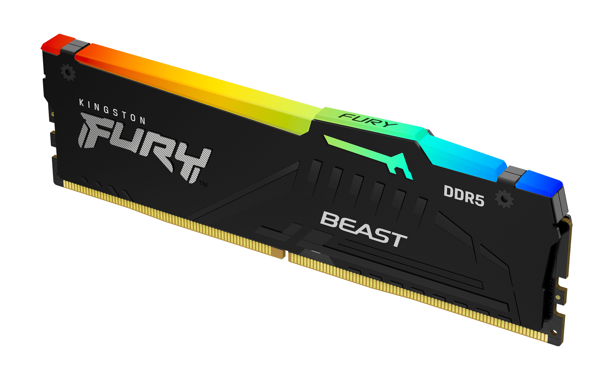 Kingston Technology FURY Beast 16 Go 5600 MT/s DDR5 CL36 DIMM RGB