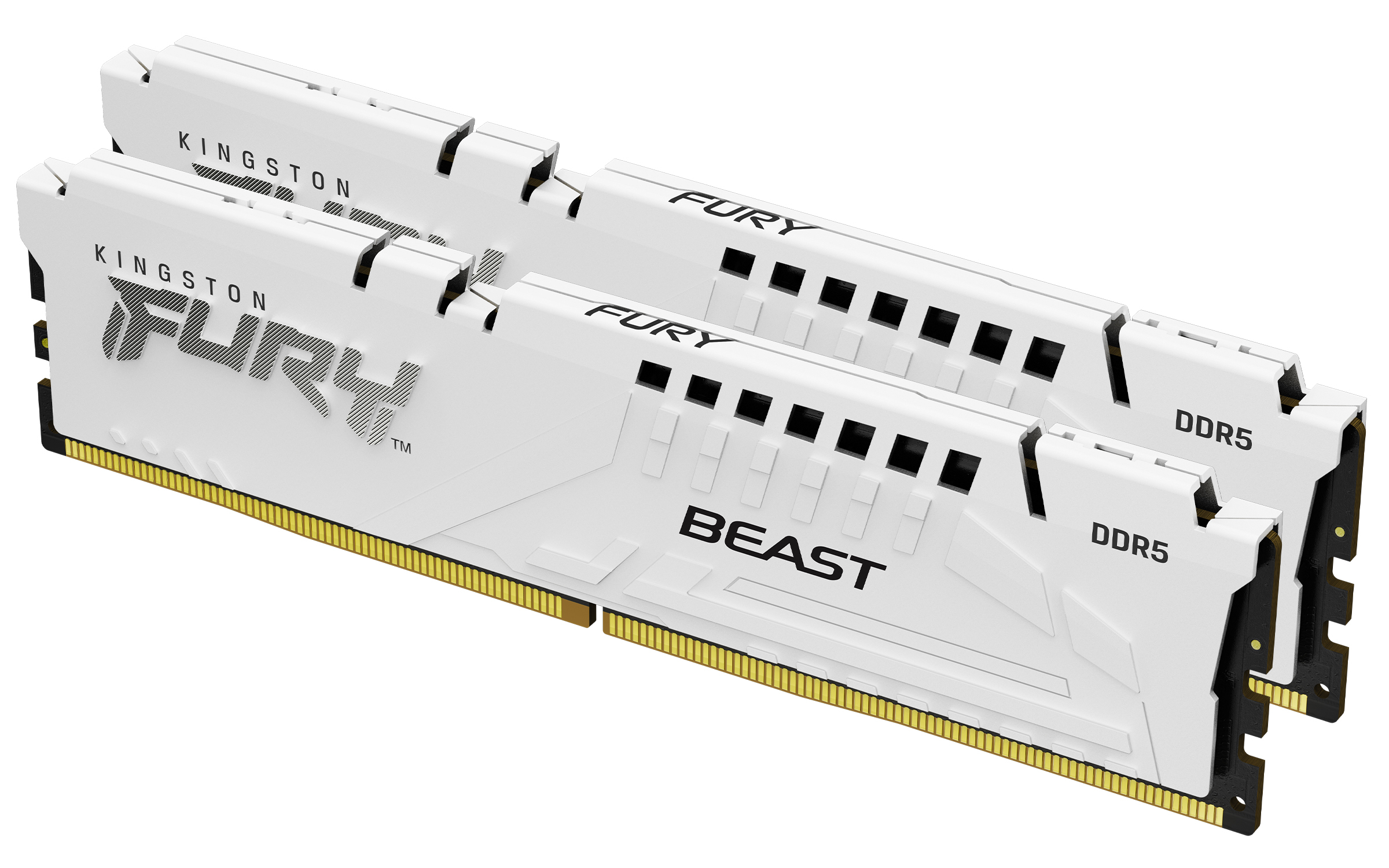 Kingston Technology FURY Beast 32 Go 6000 MT/s DDR5 CL30 DIMM (Kits de 2) White EXPO