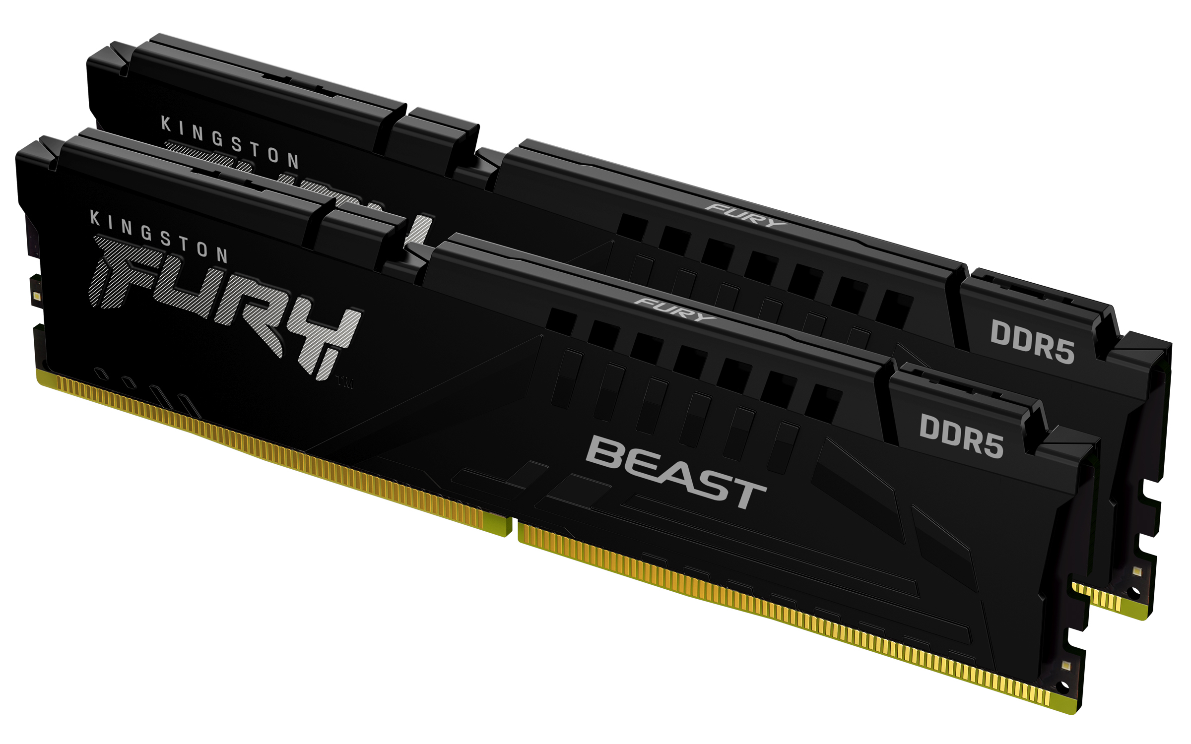 Kingston Technology FURY Beast 64 Go 5600 MT/s DDR5 CL36 DIMM (Kits de 2) Black EXPO